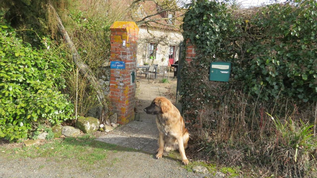 La fosse sèche Dolus-le-Sec Exterior foto